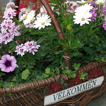 Lolland