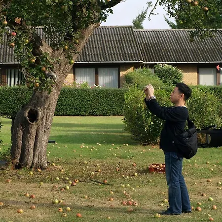 Lolland 3* Nørreballe